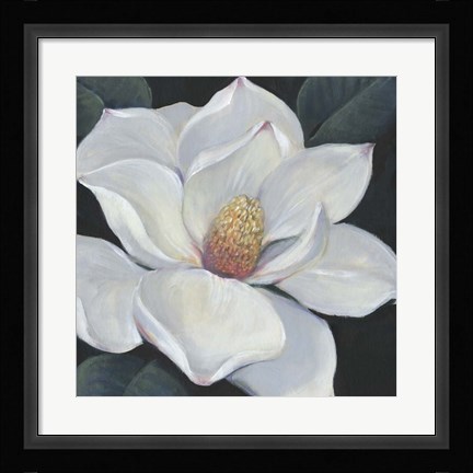 Framed Blooming Magnolia II Print