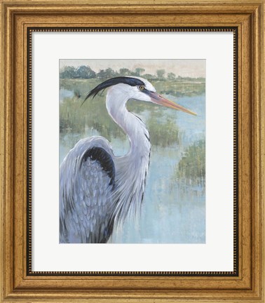 Framed Blue Heron Portrait II Print