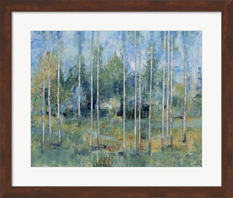 Framed Woodland View II Print