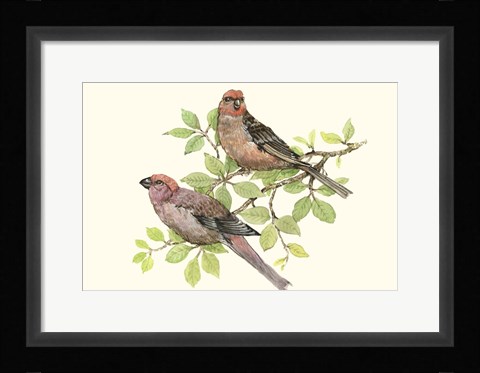 Framed Song Birds II Print