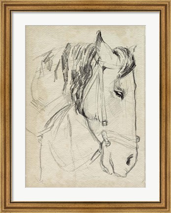 Framed Horse in Bridle Sketch I Print
