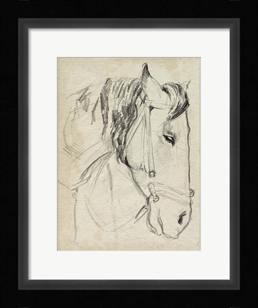 Framed Horse in Bridle Sketch I Print