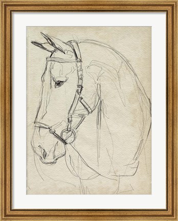 Framed Horse in Bridle Sketch II Print