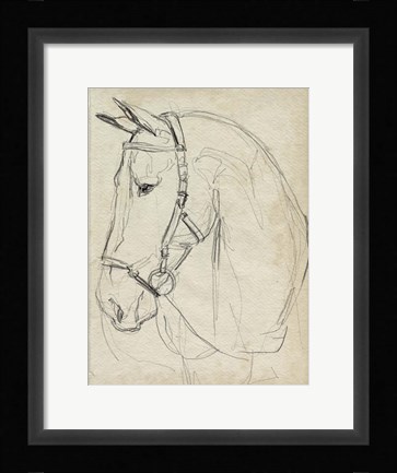 Framed Horse in Bridle Sketch II Print
