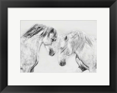 Framed Equine Portrait I Print