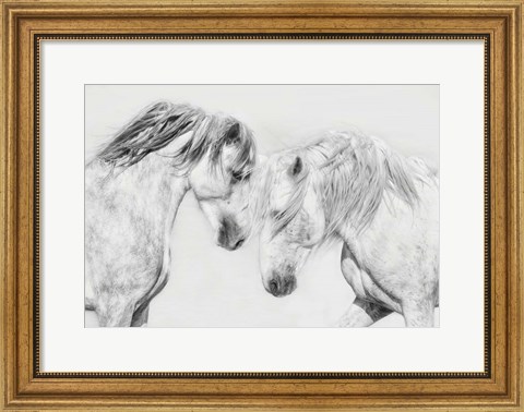 Framed Equine Portrait I Print