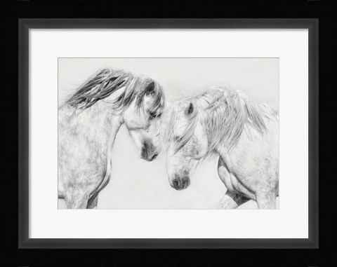 Framed Equine Portrait I Print
