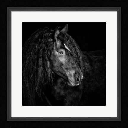 Framed Equine Portrait IX Print