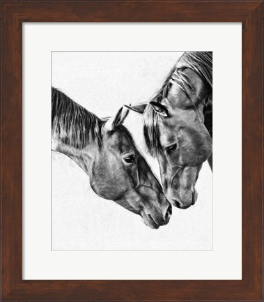 Framed Equine Portrait VI Print