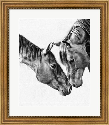 Framed Equine Portrait VI Print