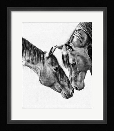 Framed Equine Portrait VI Print