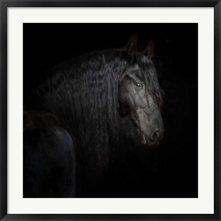 Framed Equine Portrait X Print