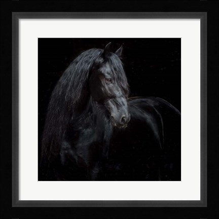 Framed Equine Portrait XI Print