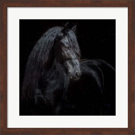 Framed Equine Portrait XI Print