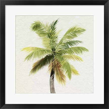 Framed Coco Watercolor Palm II Print