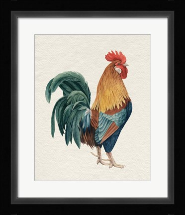 Framed Watercolor Rooster I Print