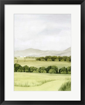 Framed Lush Farmland II Print