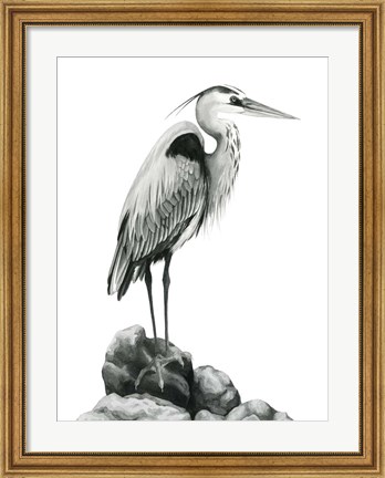 Framed Shoreline Heron in B&amp;W I Print