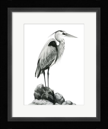 Framed Shoreline Heron in B&amp;W I Print