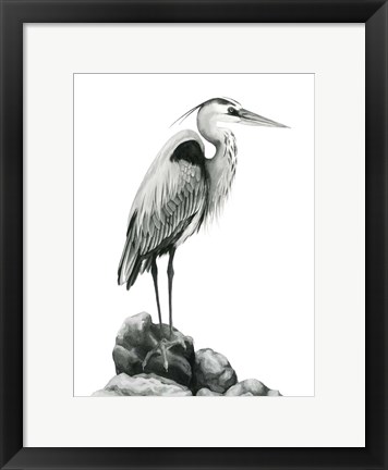 Framed Shoreline Heron in B&amp;W I Print
