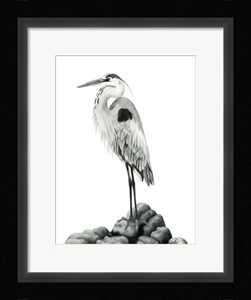 Framed Shoreline Heron in B&amp;W II Print
