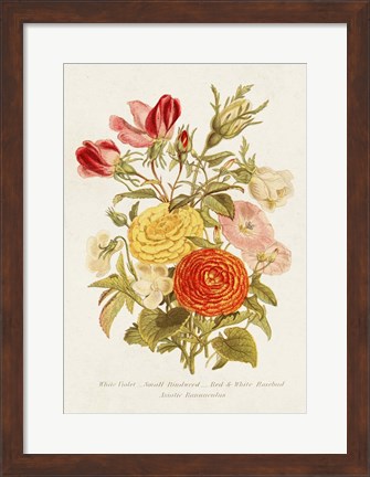 Framed Antique Floral Bouquet I Print