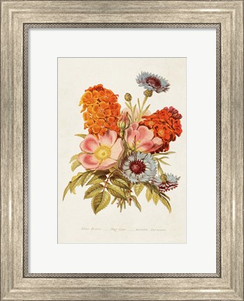 Framed Antique Floral Bouquet II Print
