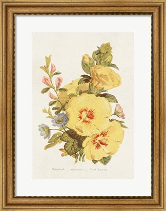 Framed Antique Floral Bouquet VI Print