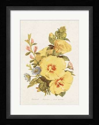 Framed Antique Floral Bouquet VI Print