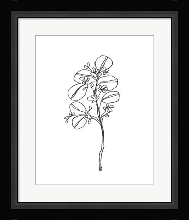 Framed Leaf Sprig II Print