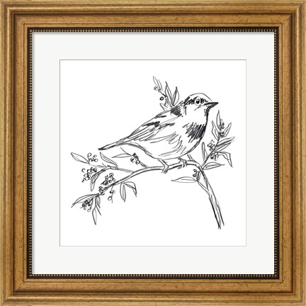 Framed Simple Songbird Sketches I Print