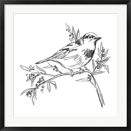 Framed Simple Songbird Sketches I Print
