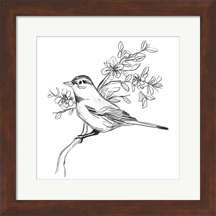 Framed Simple Songbird Sketches III Print