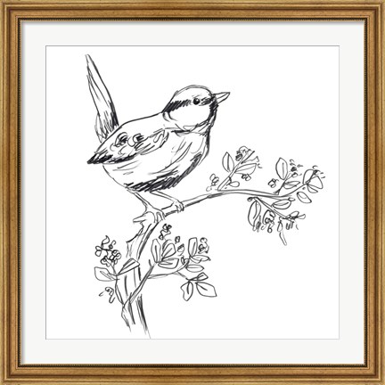 Framed Simple Songbird Sketches IV Print