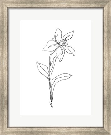 Framed Simple Daffodil I Print