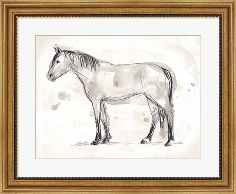 Framed Vintage Equine Sketch I Print