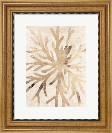 Framed Parchment Coral II Print
