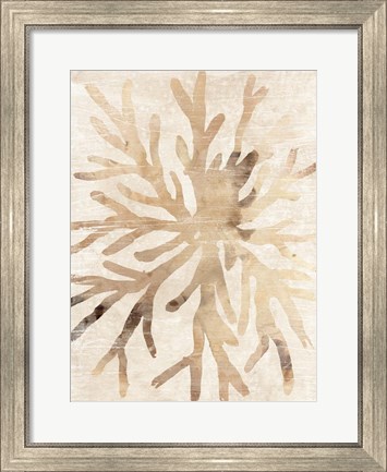 Framed Parchment Coral II Print