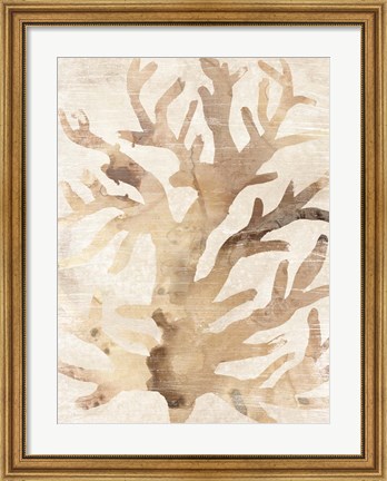 Framed Parchment Coral III Print