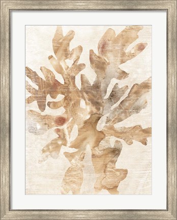 Framed Parchment Coral IV Print