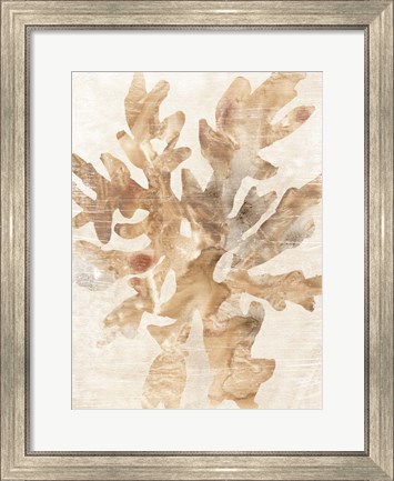 Framed Parchment Coral IV Print