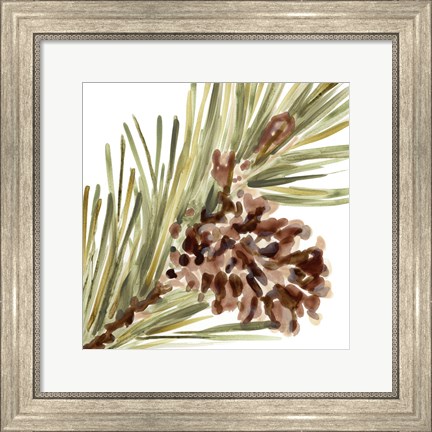 Framed Simple Pine Cone I Print