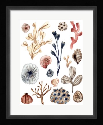 Framed Ocean Assortment I Print