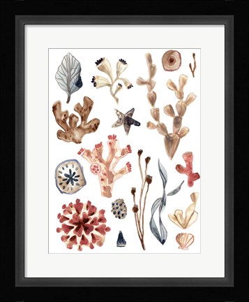 Framed Ocean Assortment II Print