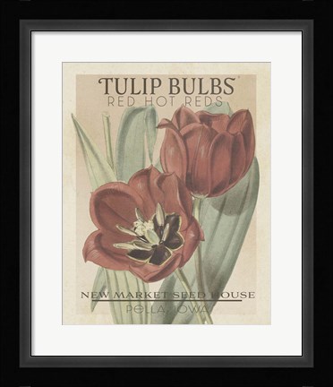 Framed Vintage Seed Packets VI Print
