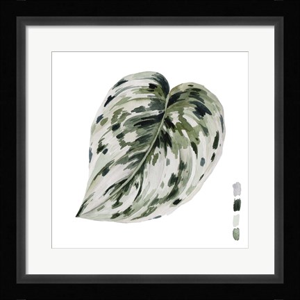 Framed Scindapsus I Print