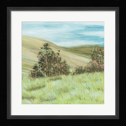 Framed Hill Lines IV Print