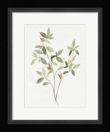 Framed Single Sprig I Print