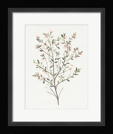 Framed Single Sprig III Print