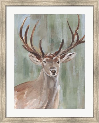 Framed Roaming Buck II Print